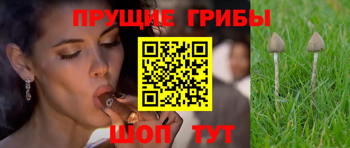 Псилоцибиновые грибы Magic Shrooms Волжский