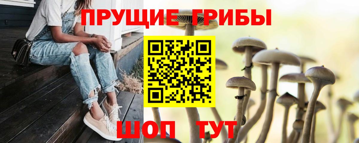 Галлюциногенные грибы Cubensis  Псилоцибиновые грибы мухоморы  Волжский  Вход с VPN 